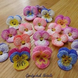 Разноцветные анютины глазки