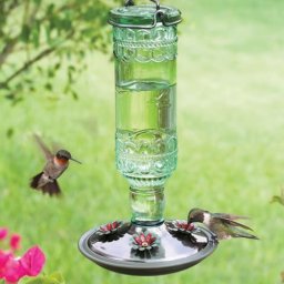 ​Разные варианты поилок для птиц