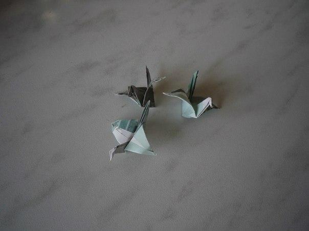 Денежное дерево: мастер-класс