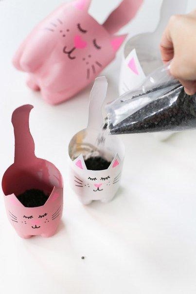 Растения в обрезанных пластиковых бутылках