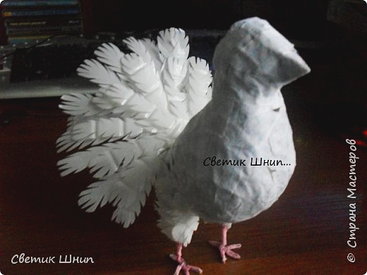 Любовь и голуби: пригласите счастье в дом