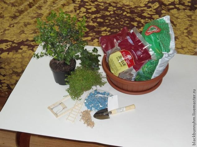 Сад в миниатюре: мастер-класс