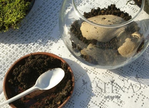 Сад на окне