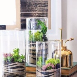 Флорариум своими руками