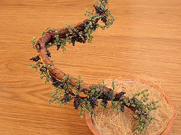 Виноградная лоза