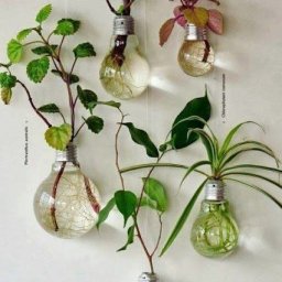 Использование отработавших свое лампочек