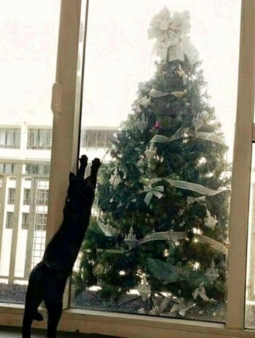 ​Антивандальные варианты ёлочек