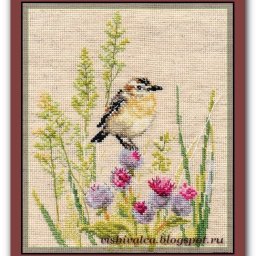 ​Птичка на чертополохе