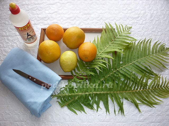 Розы из цитрусовых: мастер-класс