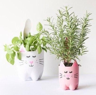 Растения в обрезанных пластиковых бутылках