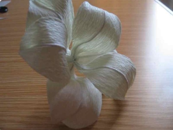 ​Роскошные цветы