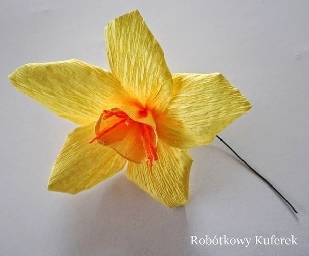 Нарциссы из гофрированной бумаги: мастер-класс Нарциссы из гофрированной бумаги: мастер-класс