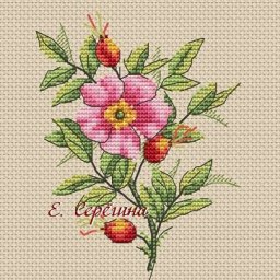 ​Вышиваем шиповник