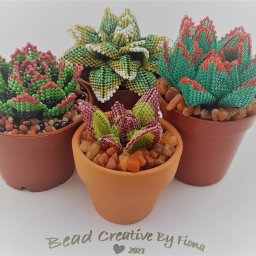 ​Чудесные суккуленты из бисера