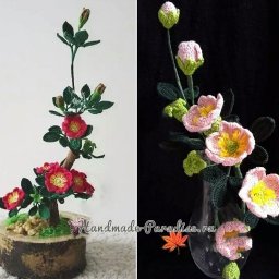 ​Цветы шиповника крючком