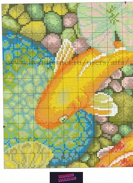 Золотые рыбки Золотые рыбки