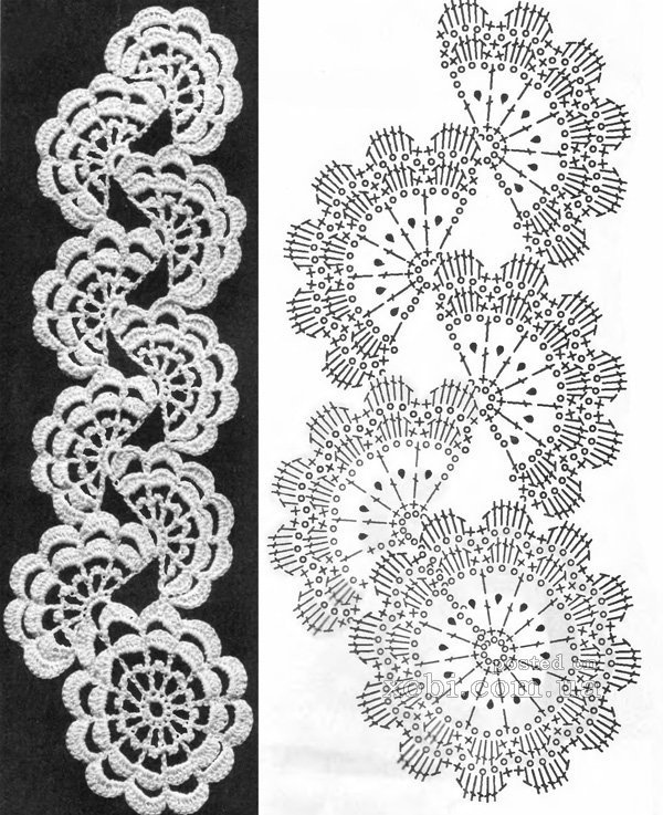 ​Изысканной красоты бактус