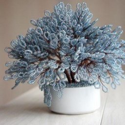 ​Морозный вереск