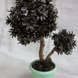 Топиарий из сосновых шишек