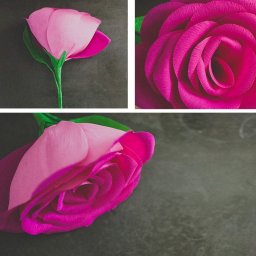 Гигантские розы: мастер-класс