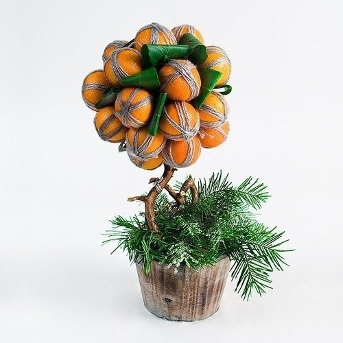 Мандариновое дерево Мандариновое дерево