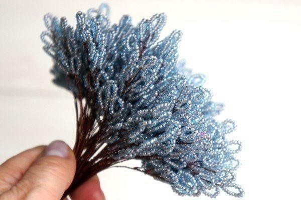 ​Морозный вереск