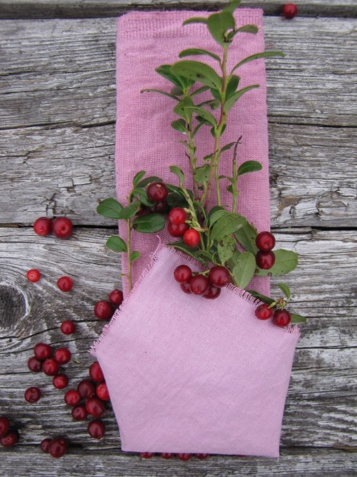 Сказочно-вкусное окрашивание тканей Сказочно-вкусное окрашивание тканей