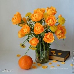 Букет купальниц