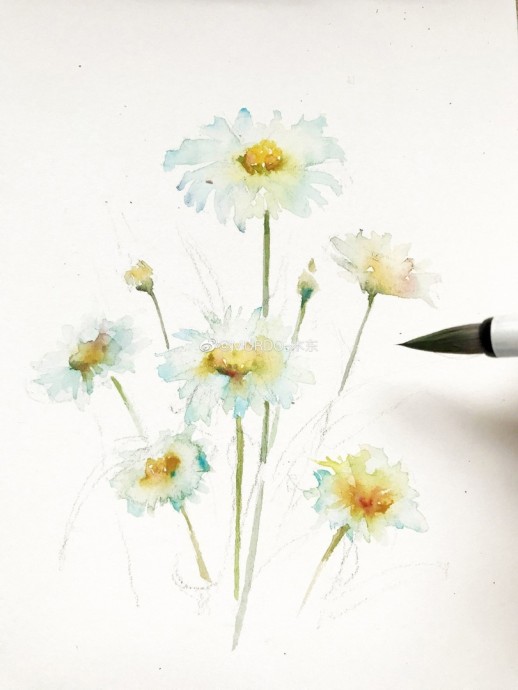 Урок рисования акварелью: ромашки