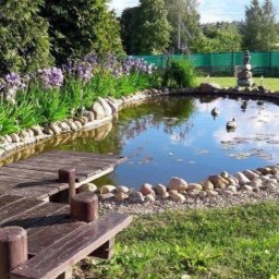 Маленький и красивый прудик своими руками