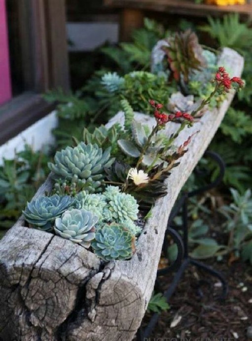 Удачные идеи из коряг Удачные идеи из коряг