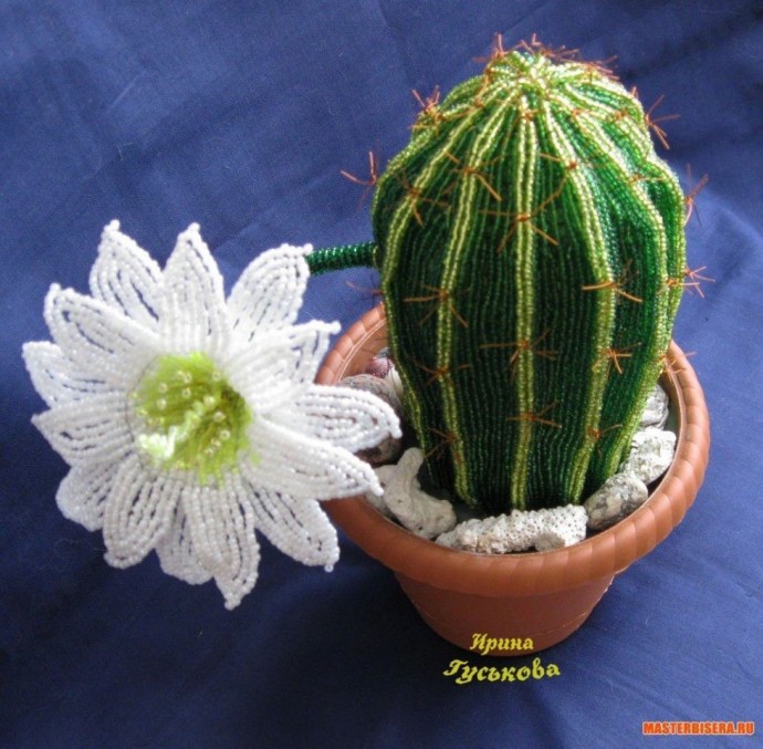 ​Идеи создания красивых кактусов из бисера