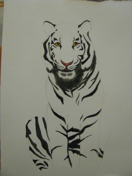​Рисуем тигра: мастер-класс