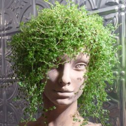 Креативный подход к клумбам