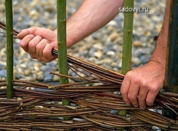 Плетём забор из прутьев на даче своими руками