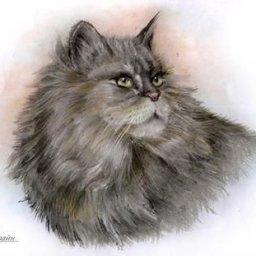 ​Рисуем роскошную кошку