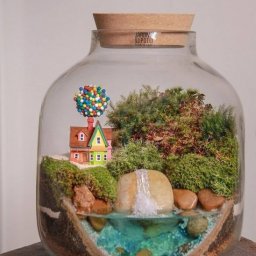 ​Сад в бутылке