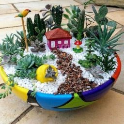 ​Садики в микро размере