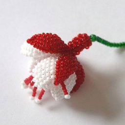 Цветок фуксии