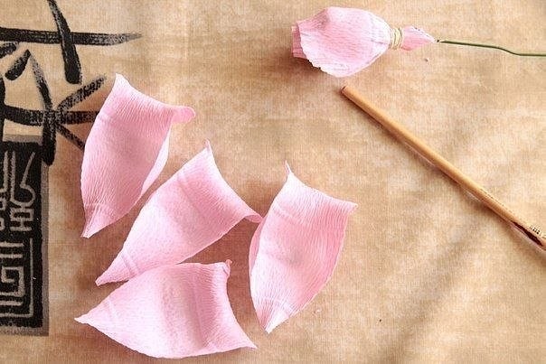 Изумительная роза из гофрированной бумаги: мастер-класс