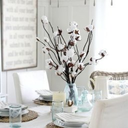 Нежные цветы хлопчатника