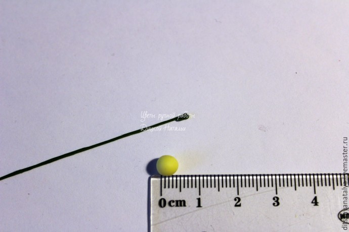 Кальцеолярия из полимерной глины