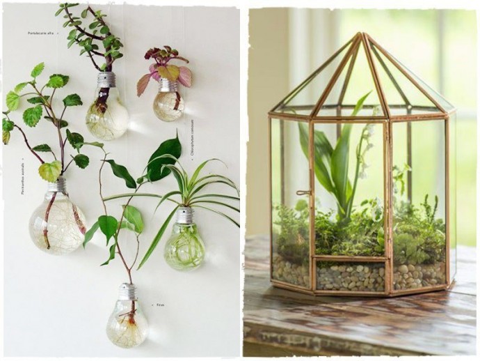 Необычные идеи для декора с растениями