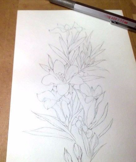 Рисуем цветы акварелью поэтапно