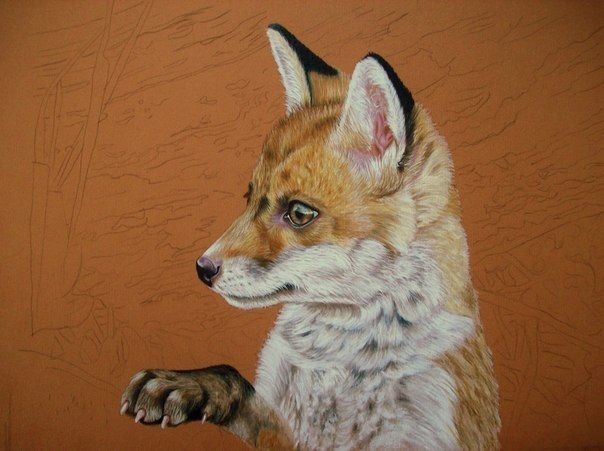 ​Рисуем лису