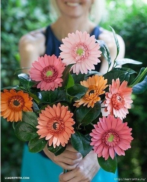 Герберы из бумаги: мастер-класс