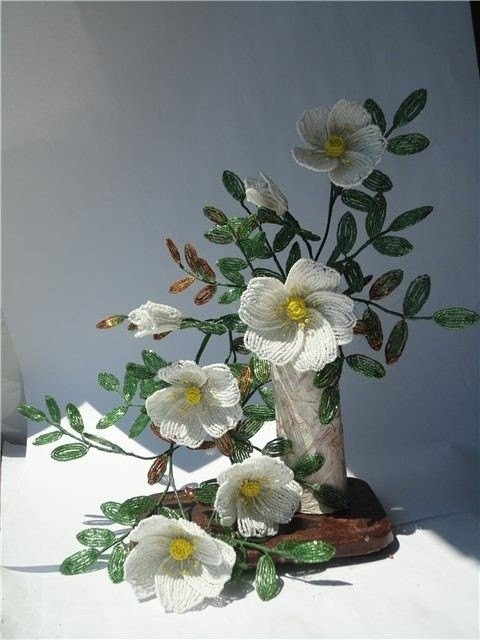 Красота для вашего вдохновения Красота для вашего вдохновения