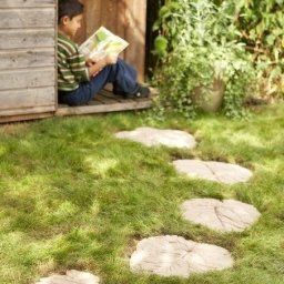 Дорожка из листьев