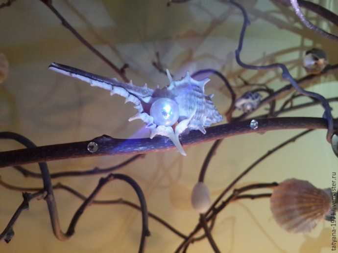 Композиция "Сокровища моря" Композиция "Сокровища моря"