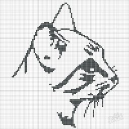 ​Однотонные котики